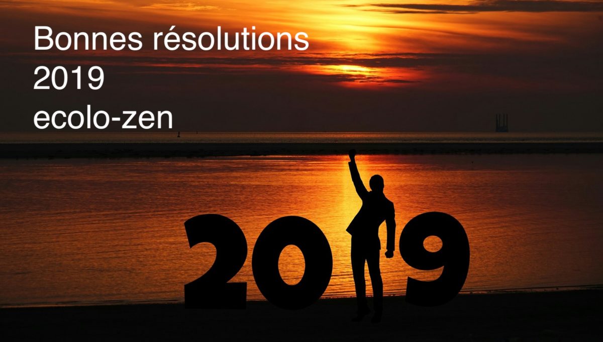 Mes bonnes résolutions ecolo-zen 2019