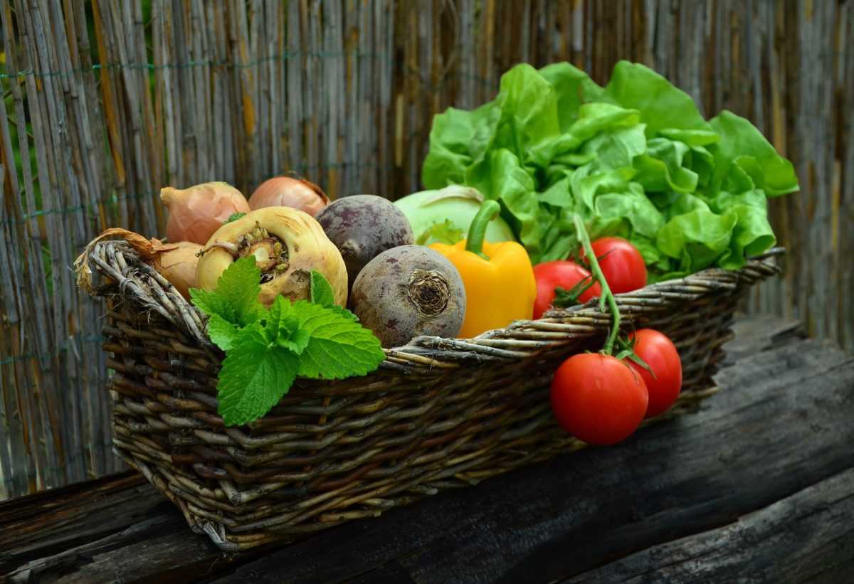 Comment bien conserver les légumes frais